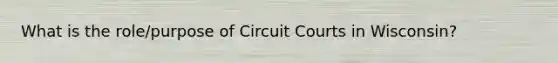 What is the role/purpose of Circuit Courts in Wisconsin?