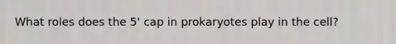 What roles does the 5' cap in prokaryotes play in the cell?