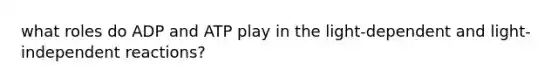 what roles do ADP and ATP play in the light-dependent and light-independent reactions?