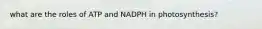 what are the roles of ATP and NADPH in photosynthesis?