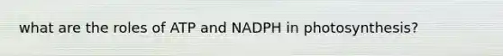 what are the roles of ATP and NADPH in photosynthesis?