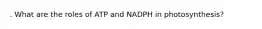 . What are the roles of ATP and NADPH in photosynthesis?