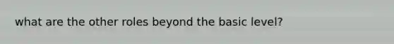 what are the other roles beyond the basic level?