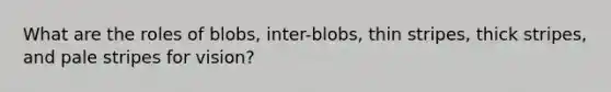 What are the roles of blobs, inter-blobs, thin stripes, thick stripes, and pale stripes for vision?