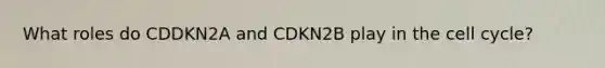 What roles do CDDKN2A and CDKN2B play in the cell cycle?