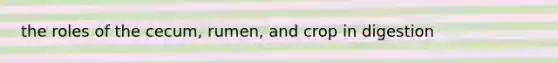 the roles of the cecum, rumen, and crop in digestion