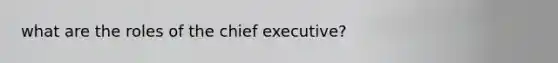 what are the roles of the chief executive?