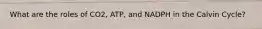 What are the roles of CO2, ATP, and NADPH in the Calvin Cycle?