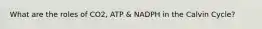 What are the roles of CO2, ATP & NADPH in the Calvin Cycle?