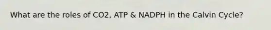 What are the roles of CO2, ATP & NADPH in the Calvin Cycle?