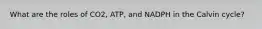 What are the roles of CO2, ATP, and NADPH in the Calvin cycle?