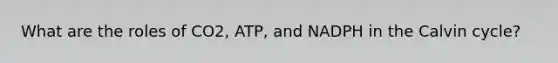 What are the roles of CO2, ATP, and NADPH in the Calvin cycle?