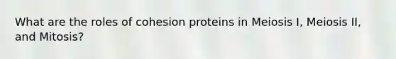 What are the roles of cohesion proteins in Meiosis I, Meiosis II, and Mitosis?