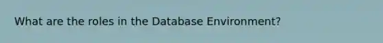 What are the roles in the Database Environment?