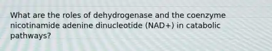 What are the roles of dehydrogenase and the coenzyme nicotinamide adenine dinucleotide (NAD+) in catabolic pathways?