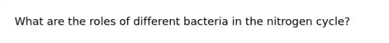 What are the roles of different bacteria in the nitrogen cycle?