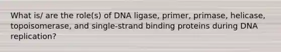 What is/ are the role(s) of DNA ligase, primer, primase, helicase, topoisomerase, and single-strand binding proteins during DNA replication?