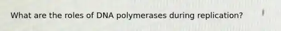 What are the roles of DNA polymerases during replication?