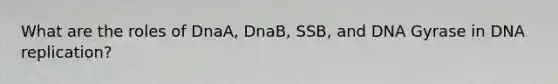 What are the roles of DnaA, DnaB, SSB, and DNA Gyrase in DNA replication?