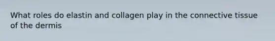 What roles do elastin and collagen play in the connective tissue of the dermis