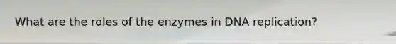 What are the roles of the enzymes in DNA replication?