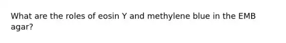 What are the roles of eosin Y and methylene blue in the EMB agar?