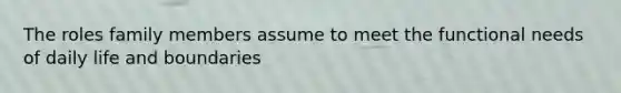 The roles family members assume to meet the functional needs of daily life and boundaries
