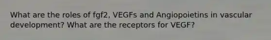 What are the roles of fgf2, VEGFs and Angiopoietins in vascular development? What are the receptors for VEGF?