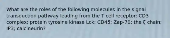 What are the roles of the following molecules in the signal transduction pathway leading from the T cell receptor: CD3 complex; protein tyrosine kinase Lck; CD45; Zap-70; the ζ chain; IP3; calcineurin?