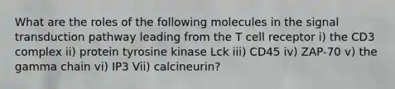 What are the roles of the following molecules in the signal transduction pathway leading from the T cell receptor i) the CD3 complex ii) protein tyrosine kinase Lck iii) CD45 iv) ZAP-70 v) the gamma chain vi) IP3 Vii) calcineurin?