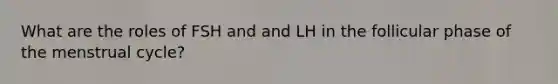 What are the roles of FSH and and LH in the follicular phase of the menstrual cycle?