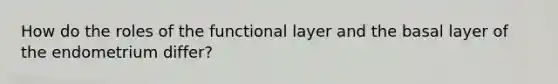 How do the roles of the functional layer and the basal layer of the endometrium differ?