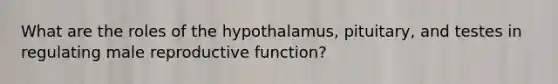 What are the roles of the hypothalamus, pituitary, and testes in regulating male reproductive function?