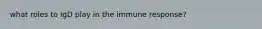 what roles to IgD play in the immune response?