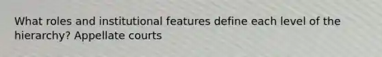 What roles and institutional features define each level of the hierarchy? Appellate courts