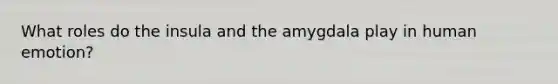 What roles do the insula and the amygdala play in human emotion?