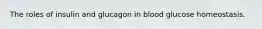 The roles of insulin and glucagon in blood glucose homeostasis.