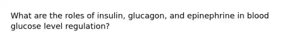 What are the roles of insulin, glucagon, and epinephrine in blood glucose level regulation?