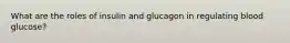 What are the roles of insulin and glucagon in regulating blood glucose?