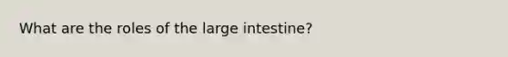 What are the roles of the large intestine?