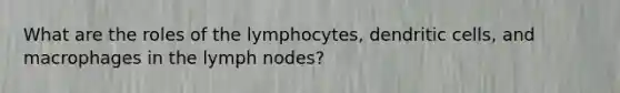 What are the roles of the lymphocytes, dendritic cells, and macrophages in the lymph nodes?