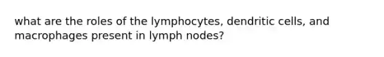 what are the roles of the lymphocytes, dendritic cells, and macrophages present in lymph nodes?