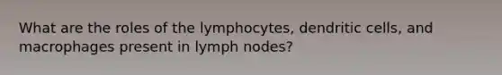 What are the roles of the lymphocytes, dendritic cells, and macrophages present in lymph nodes?