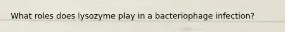What roles does lysozyme play in a bacteriophage infection?