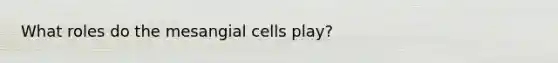 What roles do the mesangial cells play?