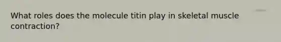 What roles does the molecule titin play in skeletal muscle contraction?