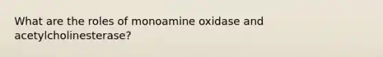 What are the roles of monoamine oxidase and acetylcholinesterase?