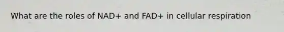 What are the roles of NAD+ and FAD+ in cellular respiration