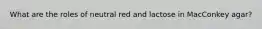 What are the roles of neutral red and lactose in MacConkey agar?