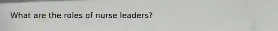 What are the roles of nurse leaders?